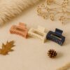 Trendy Matte Claw Clip