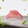 Trendy Hair Claw Clip Combo