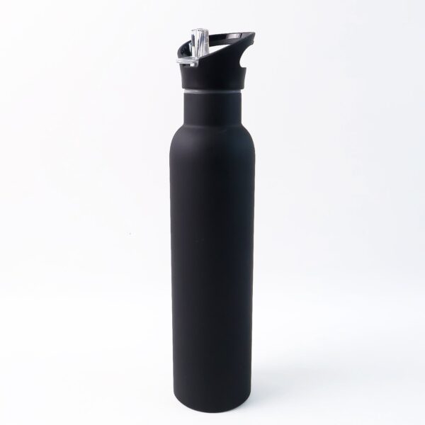 Stylish Matte Coated Sports Sipper