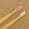 Organic Bamboo Toothbrush