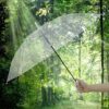 Clear Dome Umbrella