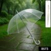 Transparent Umbrella